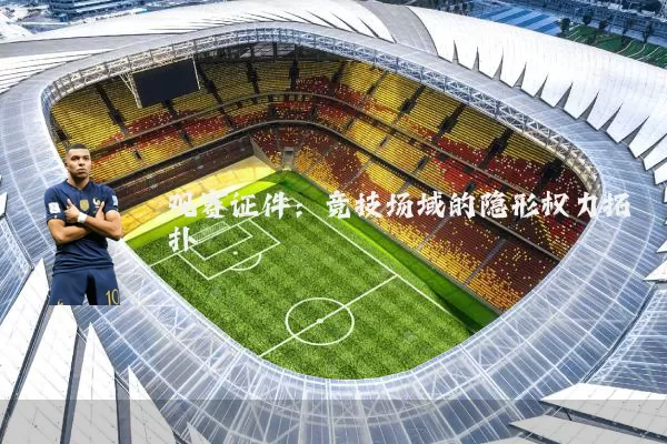 观赛证件:竞技场域的隐形权力拓扑